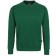 color:tanne