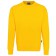 color:sonne